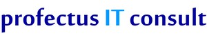 profectus IT consult Markus Moraw-image